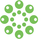 Natural Solutions logo
