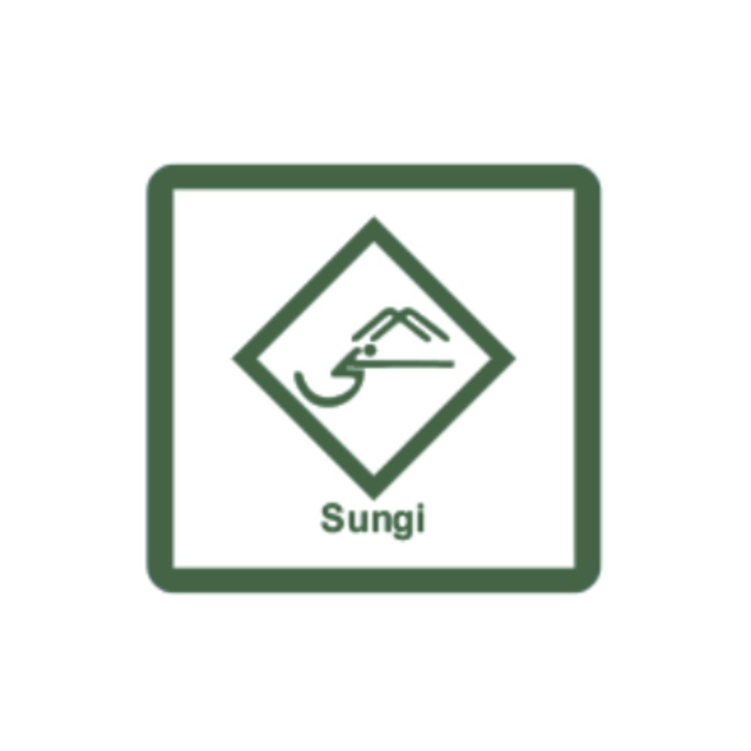 Sungi Development Foundation ( Pakistan ) logo