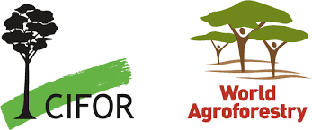 Center for International Forestry Research ( Indonesia ) logo