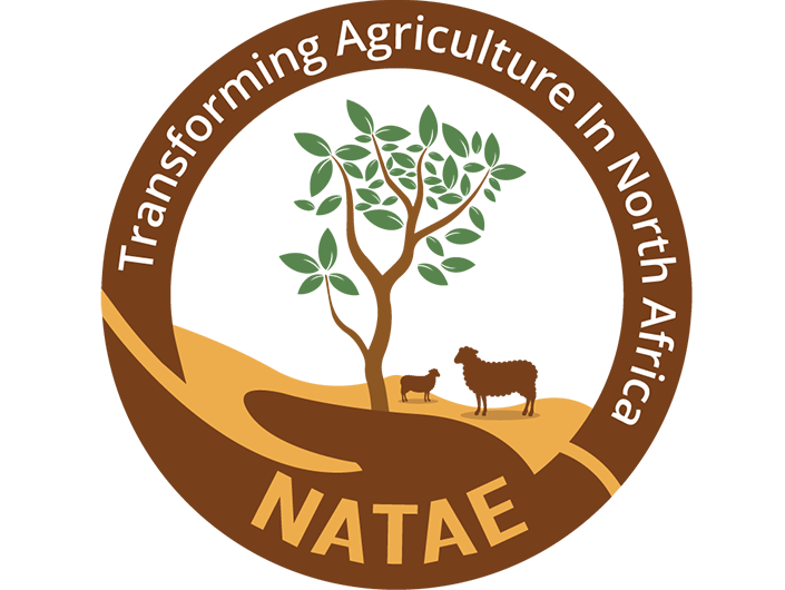 Natae logo