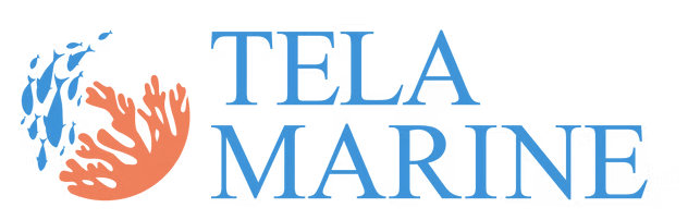 Tela Marine logo