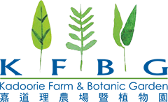 Kadoorie Farm and Botanic Garden logo