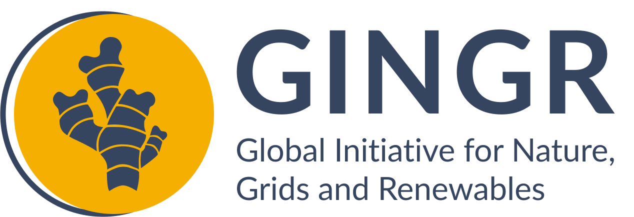 Global Initiative for Nature, Grids and Renewables logo