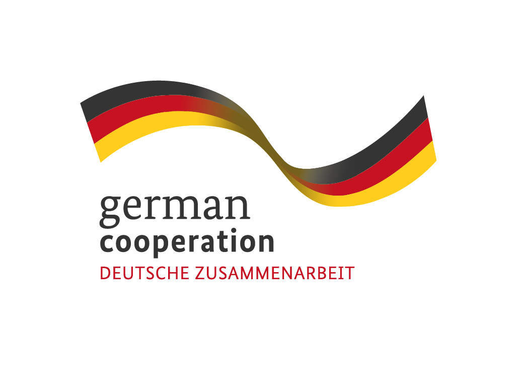 GIZ Germany logo