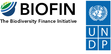 UNDP logo