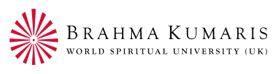 Commission on Environmental, Economic, and Social Policy logo