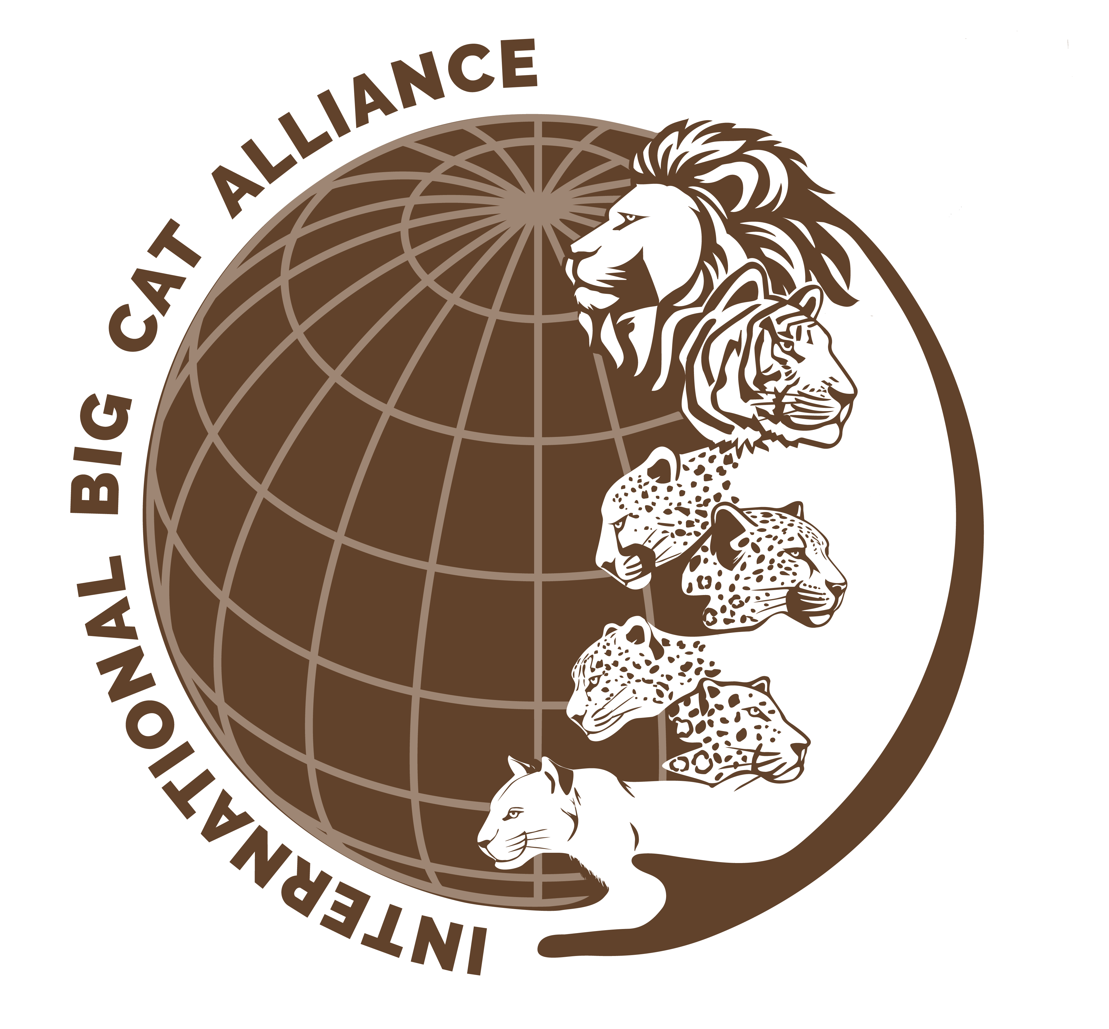 International Big Cats Alliance (IBCA) logo