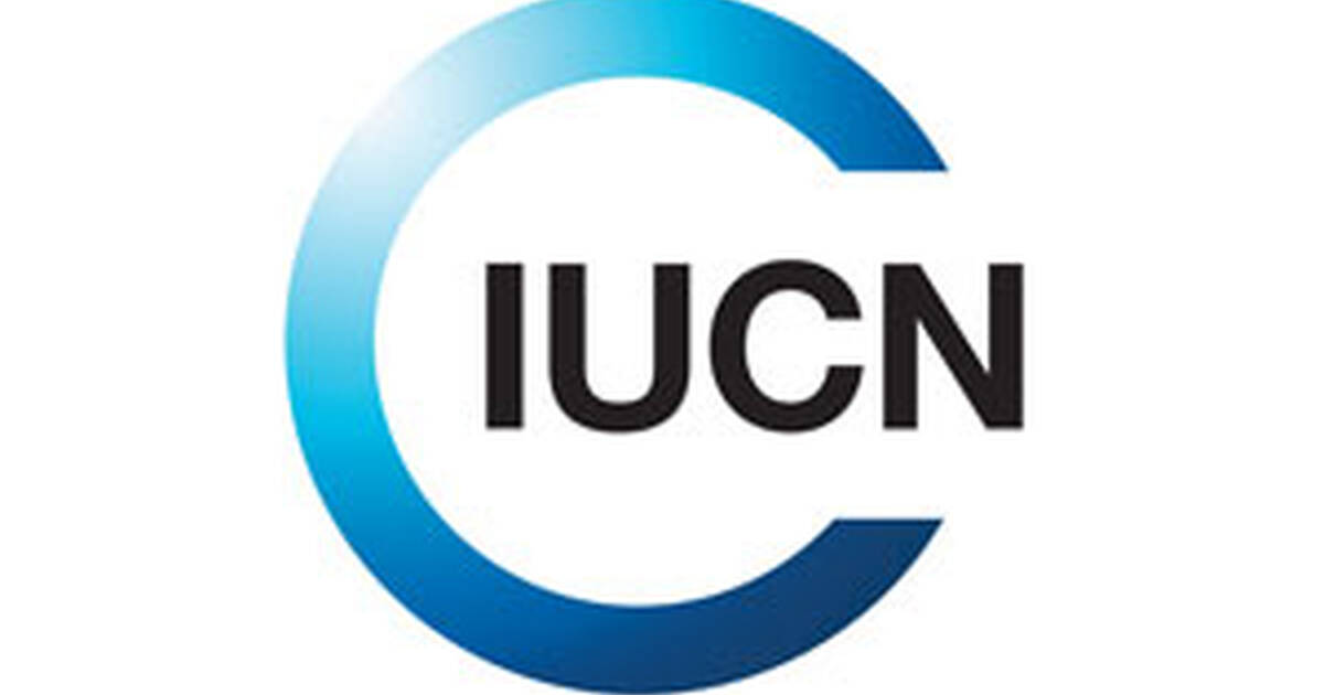 Asia Region logo