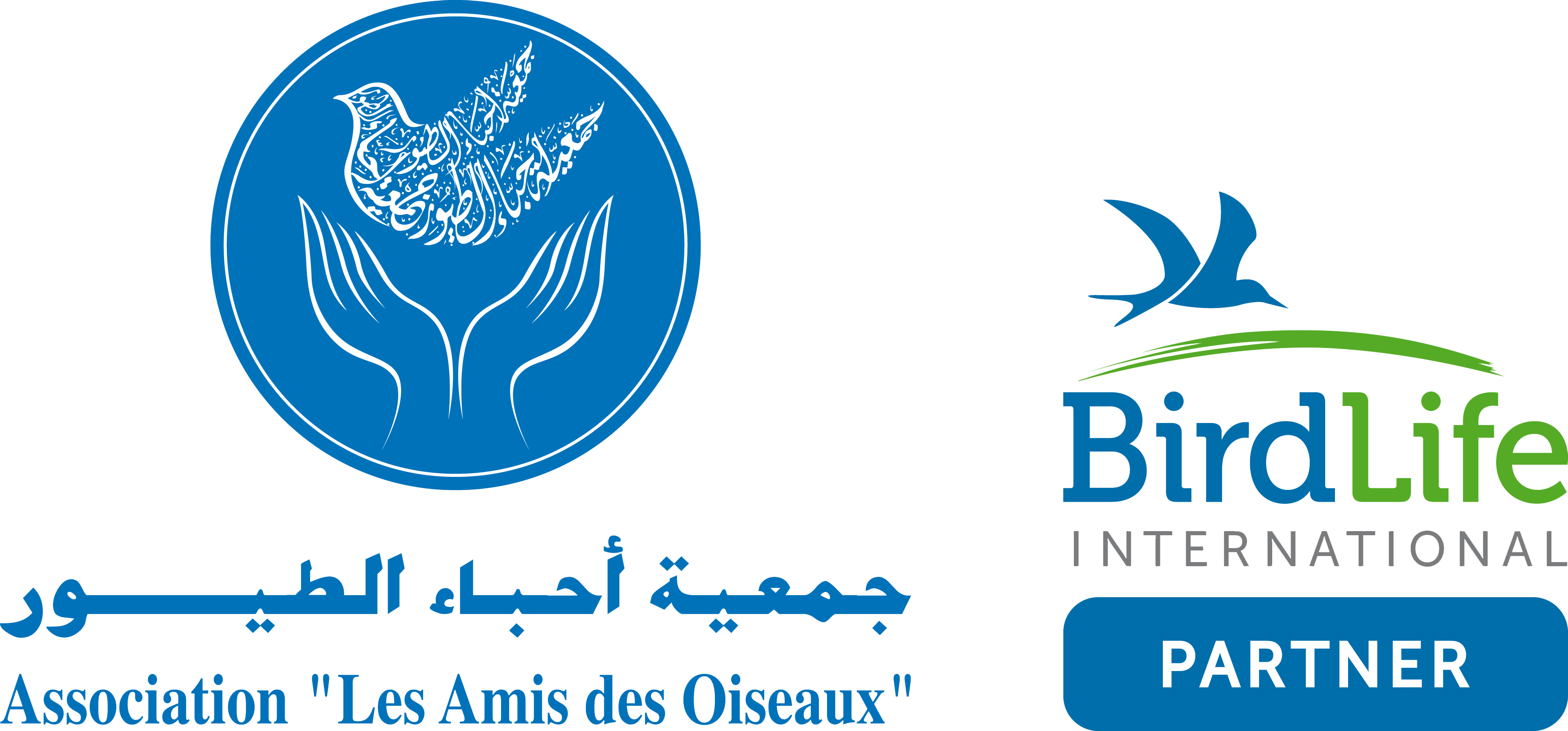 Association Les Amis des Oiseaux ( Tunisia ) logo
