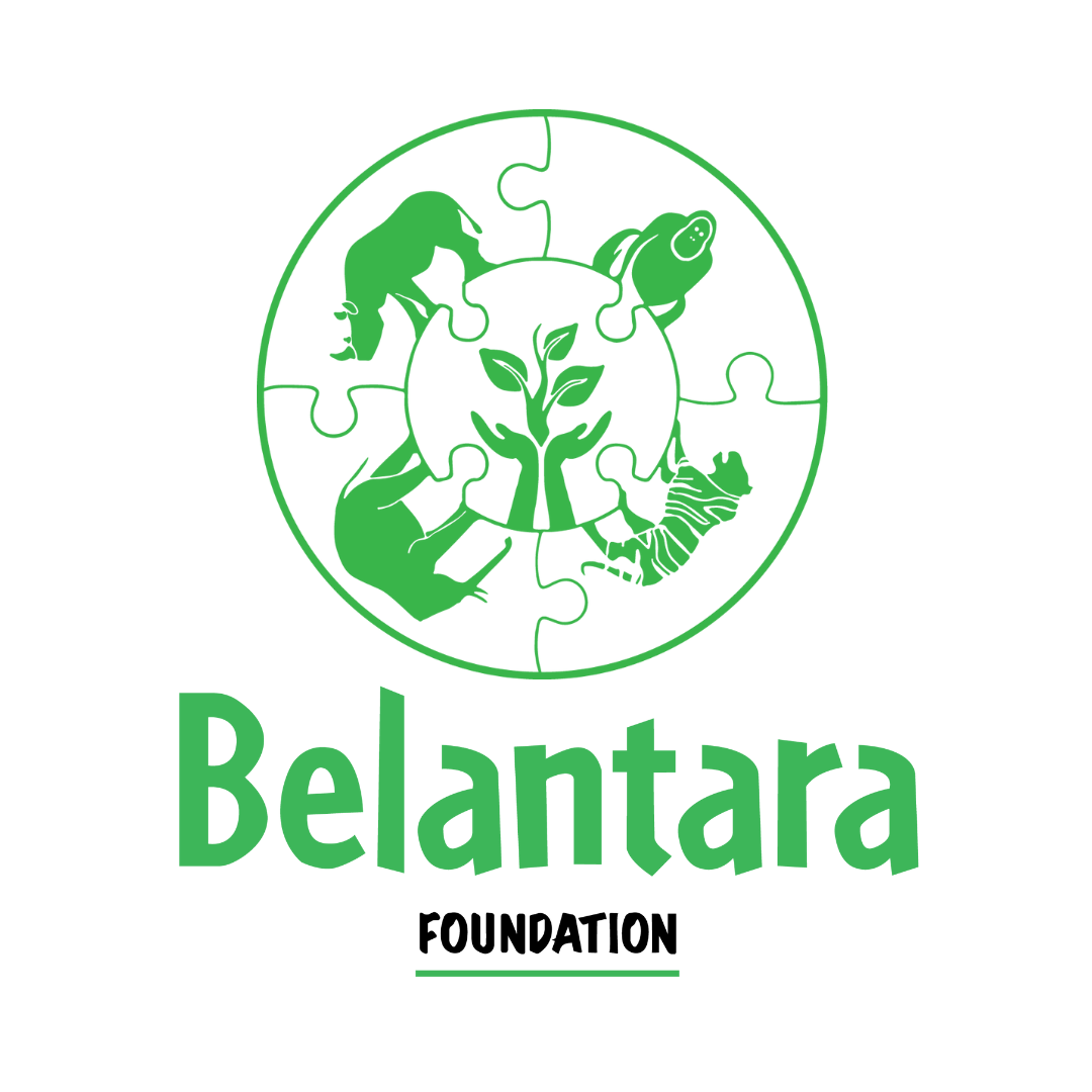 Belantara Foundation  logo