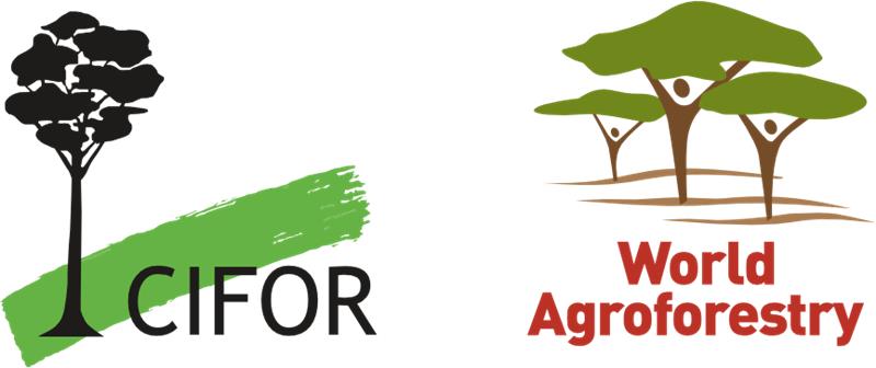 International Centre for Research on Agroforestry ( Kenya ) logo