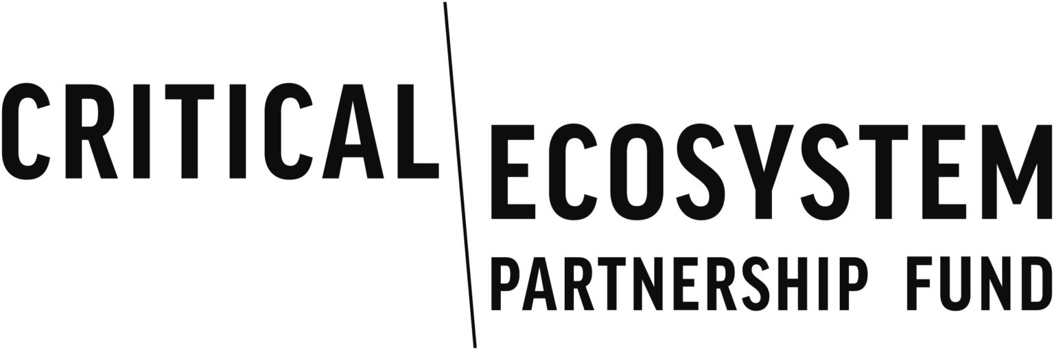 Conservation International ( United States of America ) logo