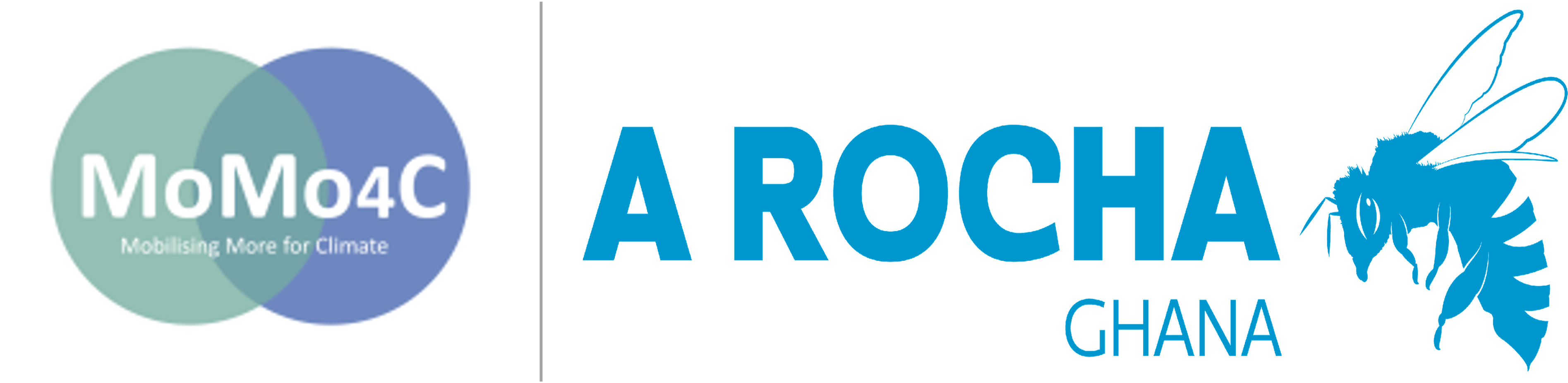 A ROCHA GHANA ( Ghana ) logo