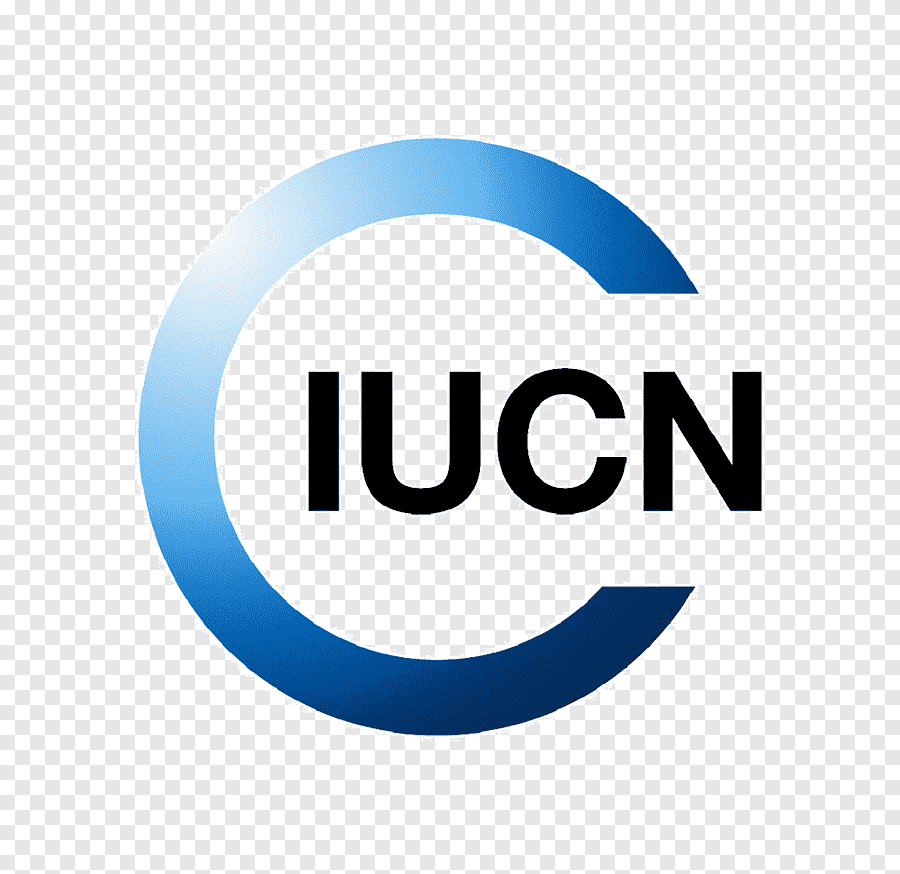 European Regional Office logo