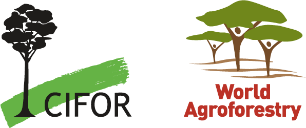 Center for International Forestry Research ( Indonesia ) logo