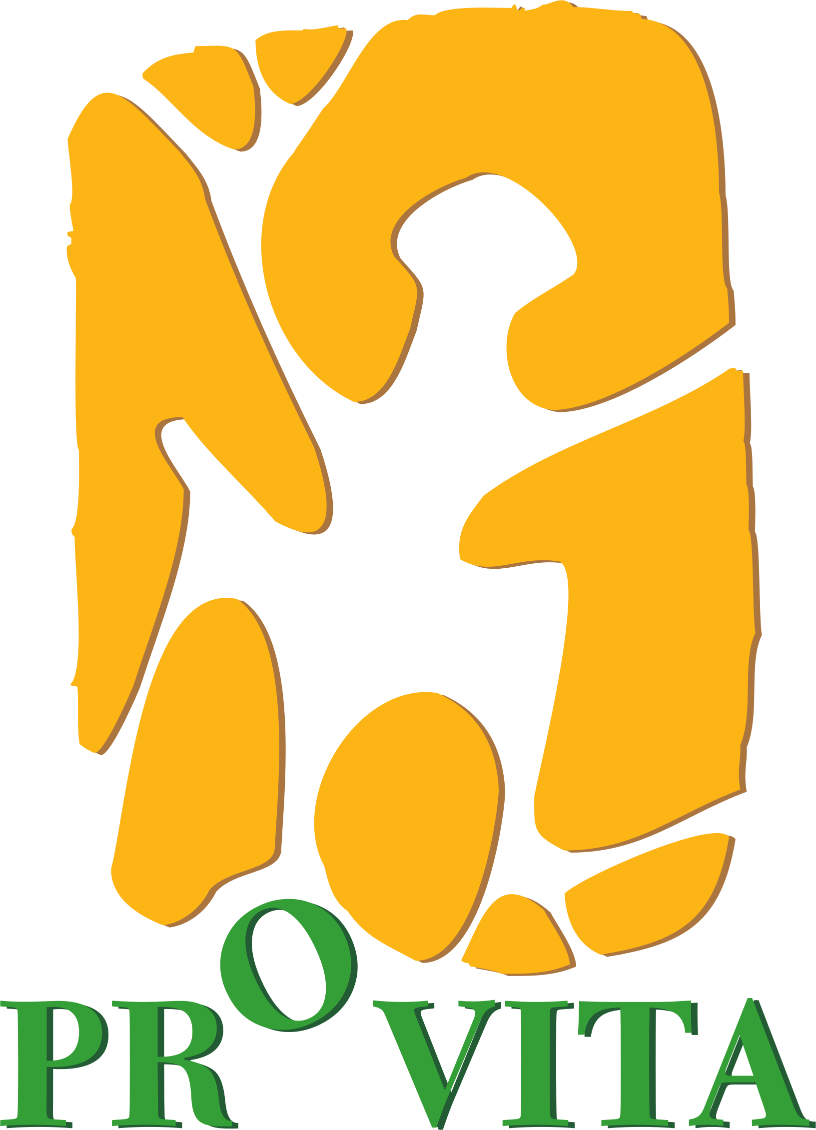 PROVITA ( Venezuela ) logo