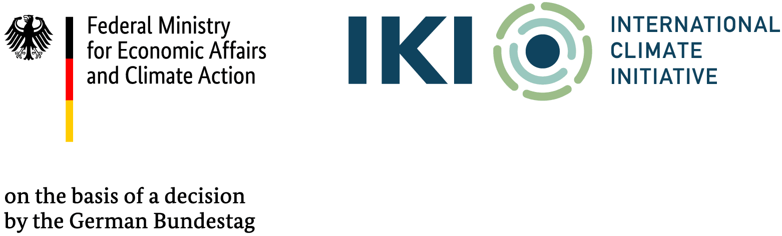 IKI logo