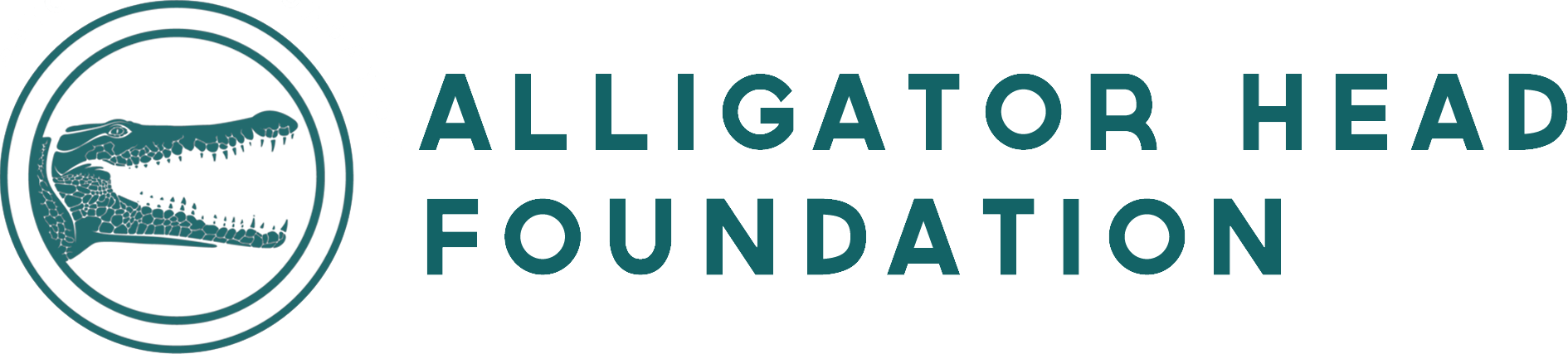 Alligator Head Foundation logo
