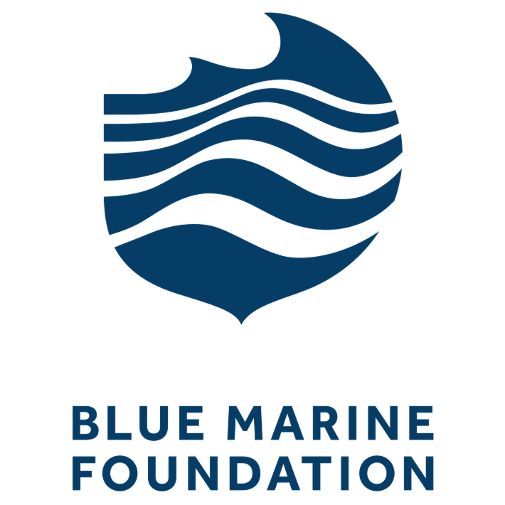 Blue Marine Foundation ( United Kingdom of Great Britain and Northern Ireland ) logo
