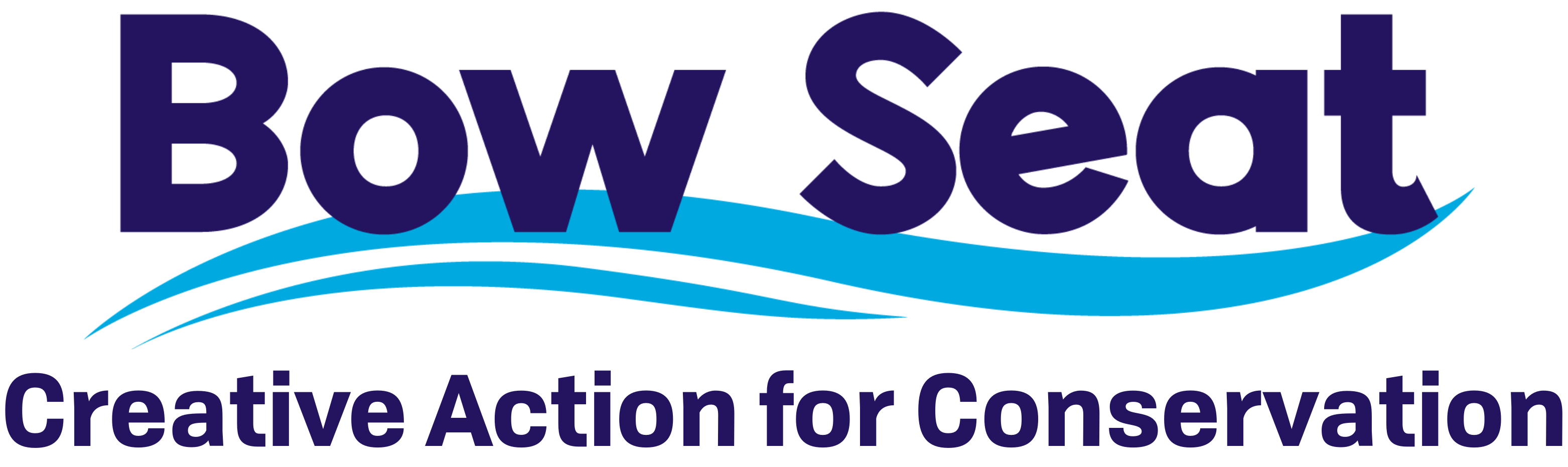 South America Region logo