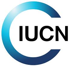 European Regional Office logo