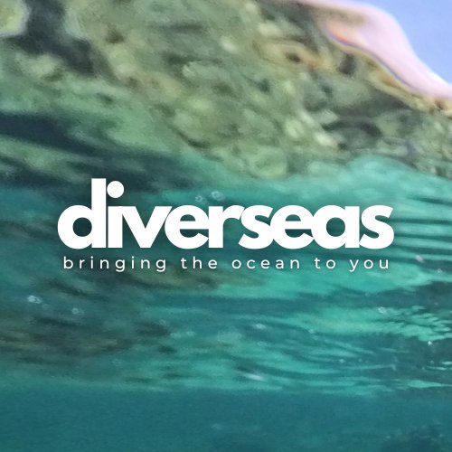 Diverseas logo
