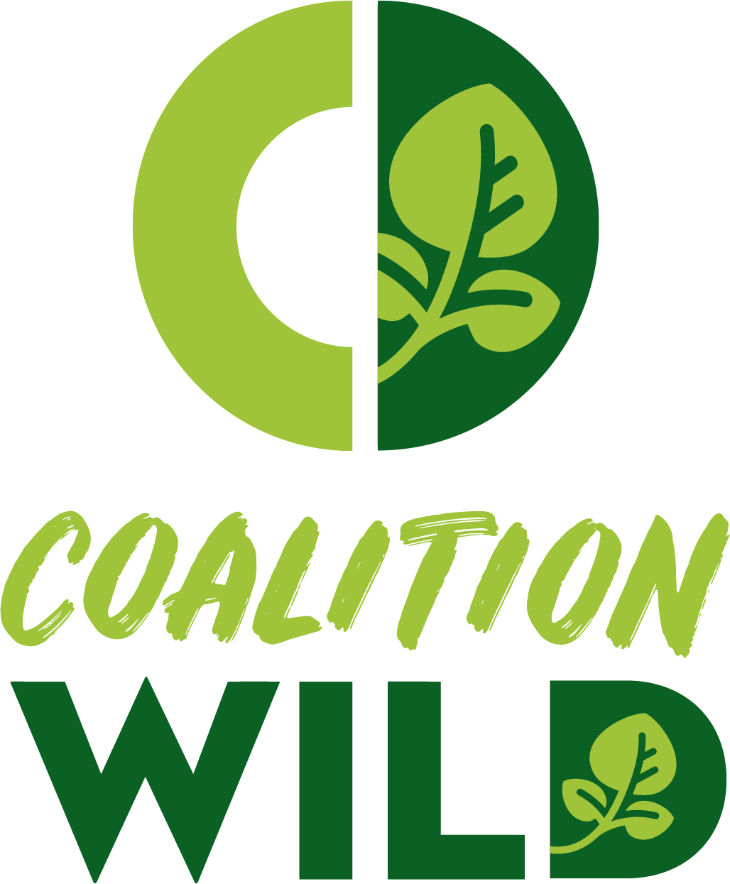 South America Region logo