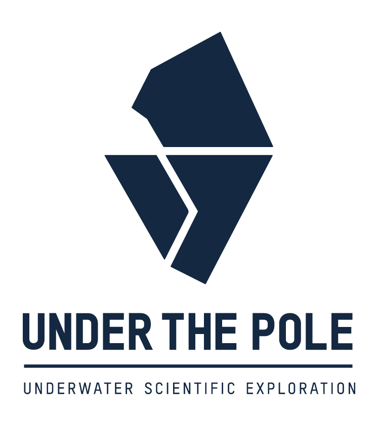 UNDER THE POLE / Antipodes ( France ) logo