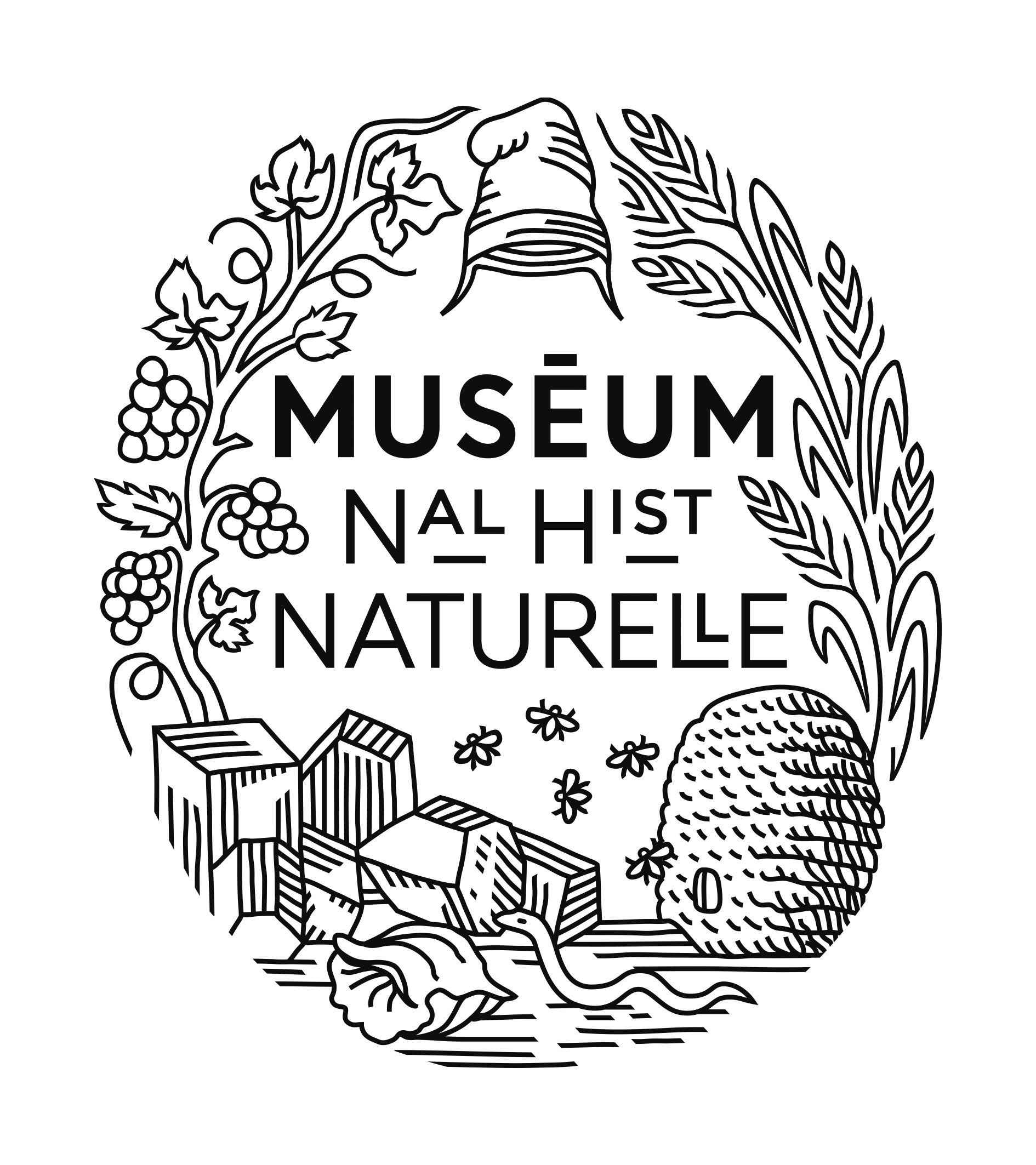 Muséum National d'Histoire Naturelle ( France ) logo