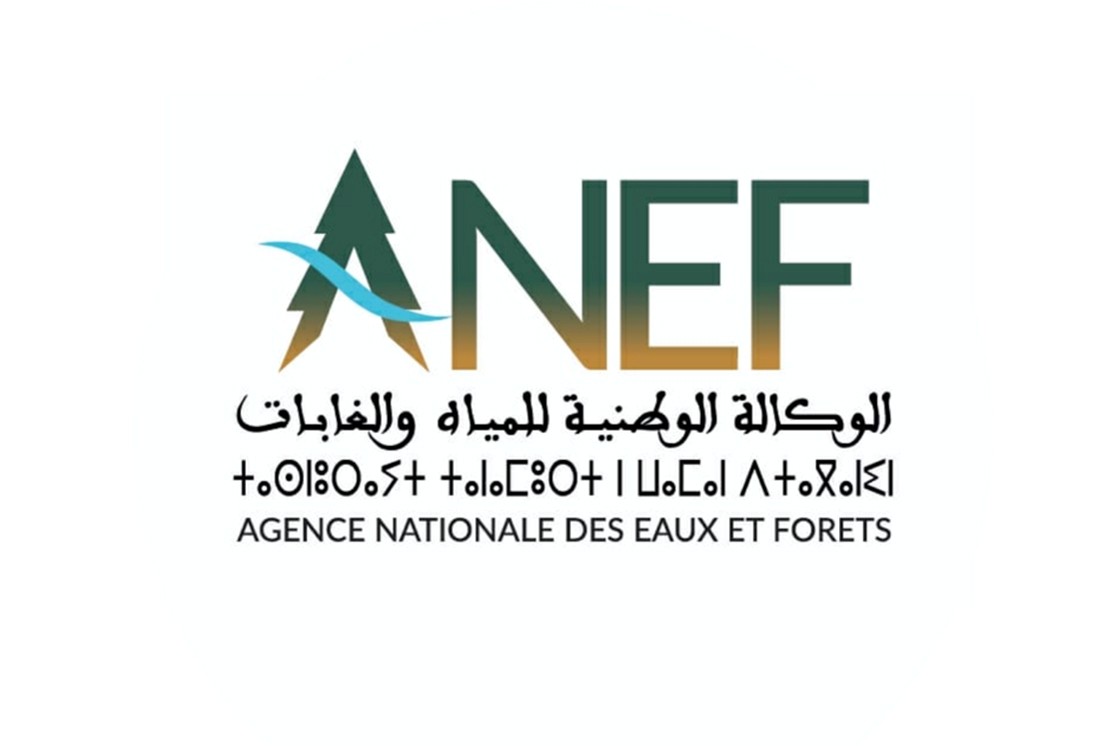Agence Nationale des Eaux et Forêts ( Morocco ) logo