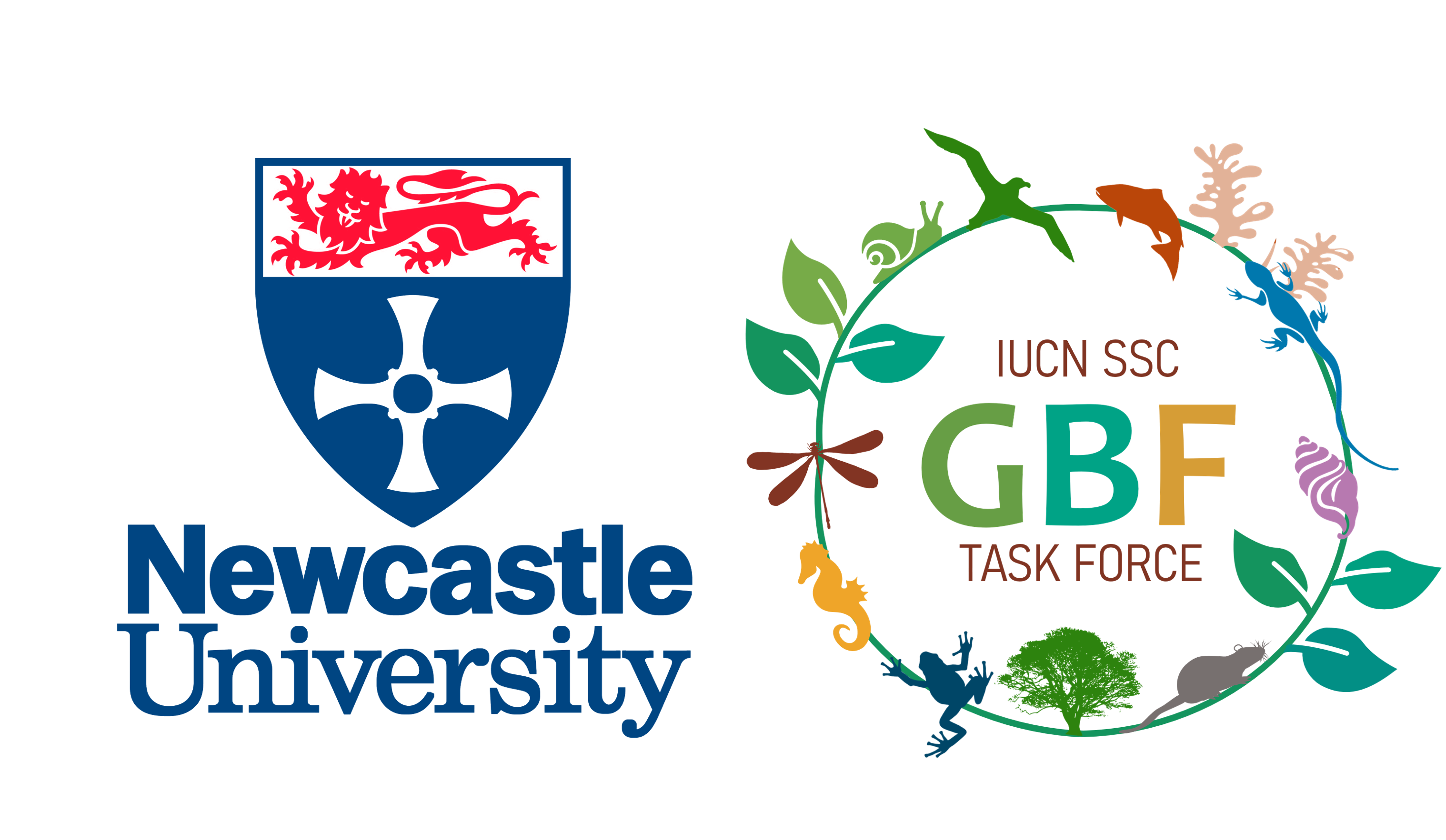 Newcastle University  logo