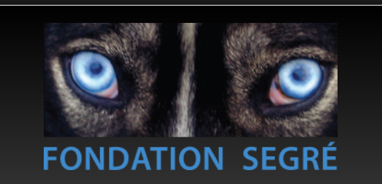 Fondation Segré logo