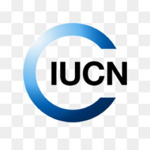European Regional Office logo