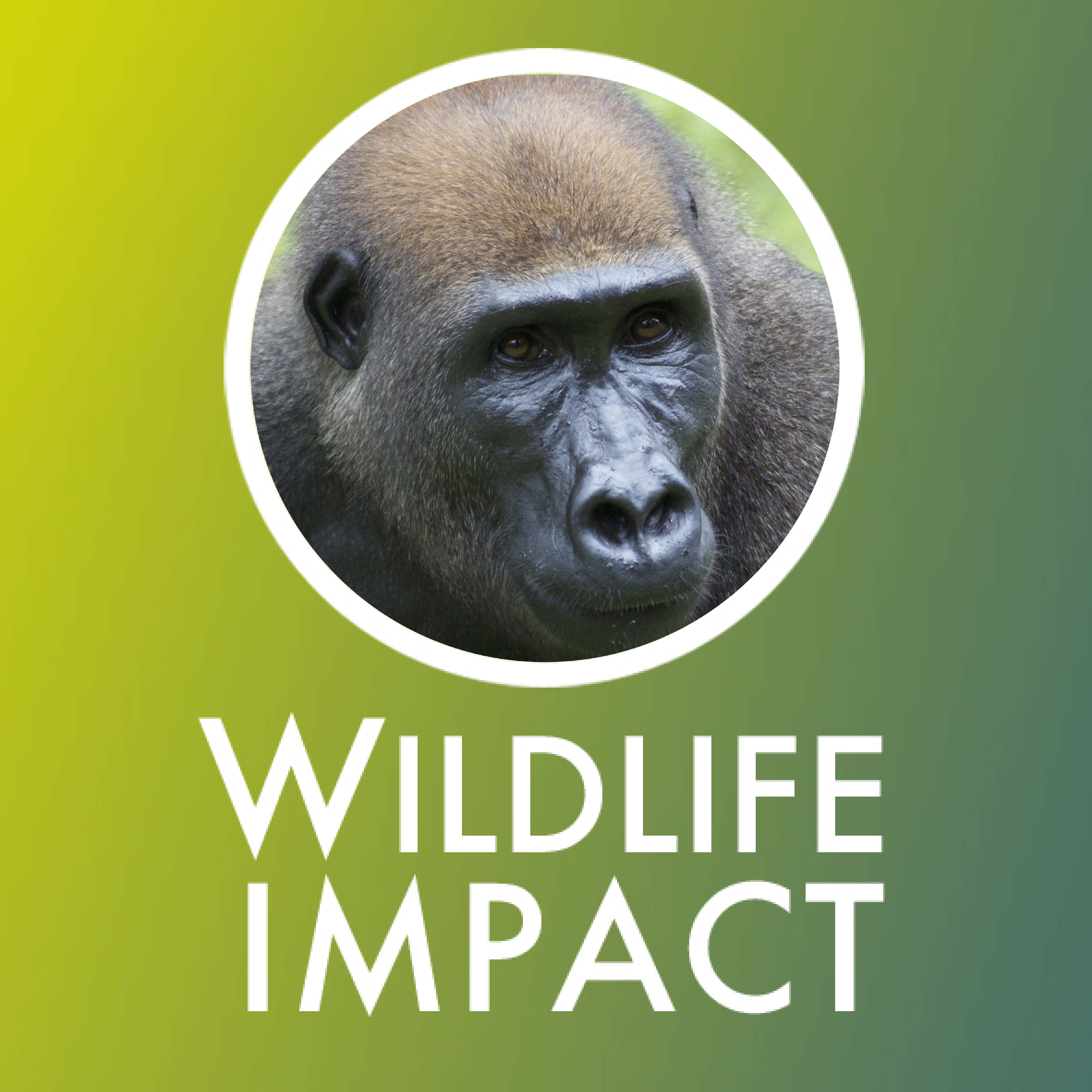 Wildlife Impact logo
