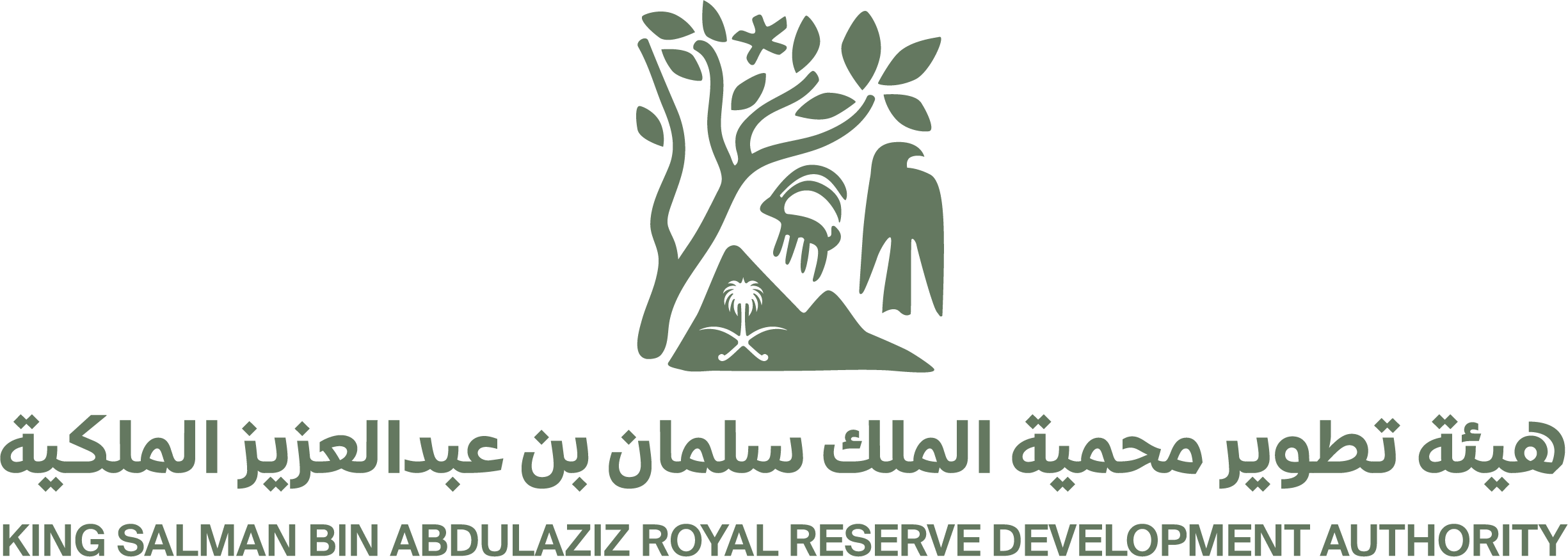 King Salman Bin Abdulaziz Royal Reserve Development Authority ( Saudi Arabia ) logo