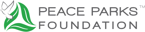 Peace Parks Foundation ( South Africa ) logo