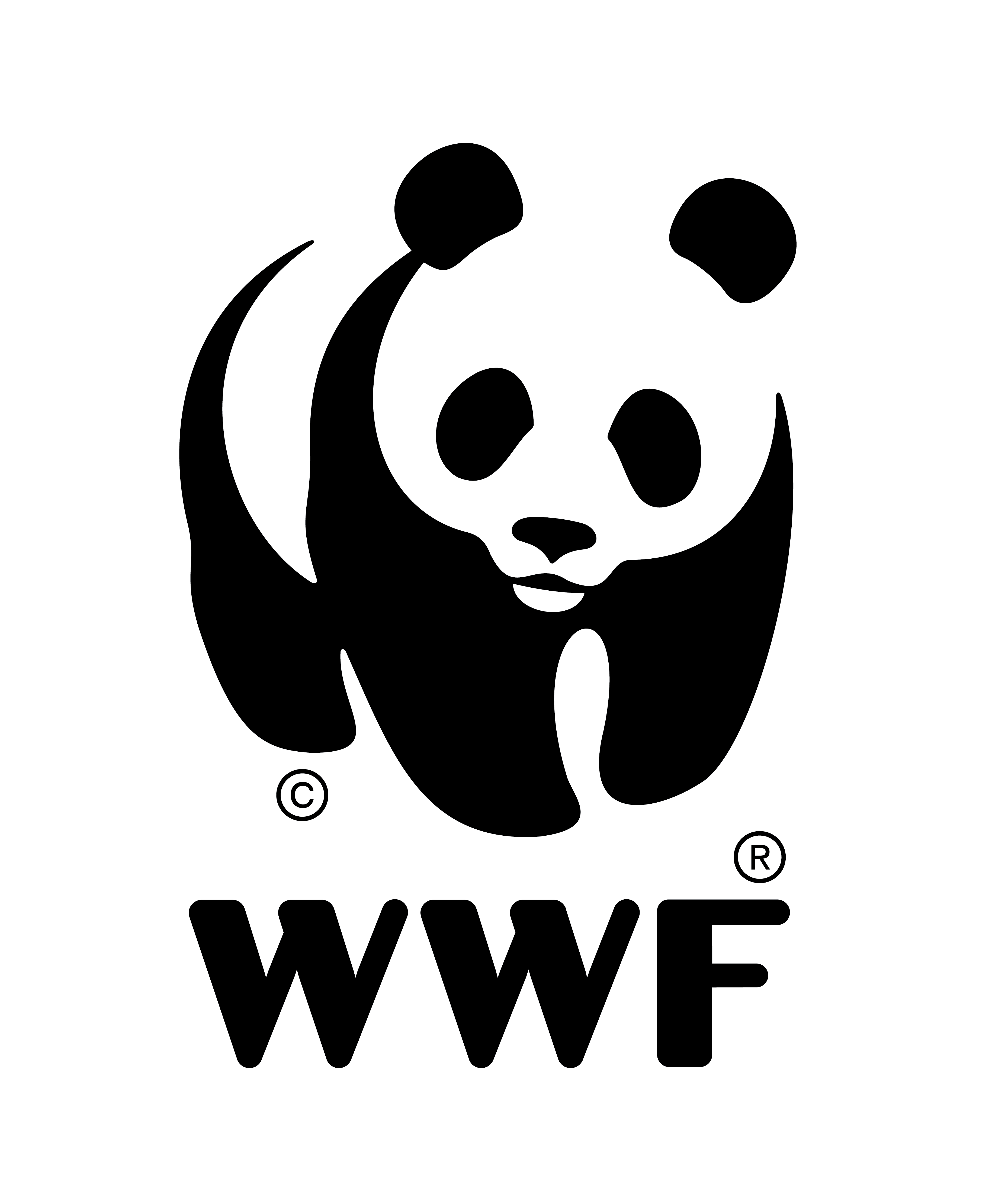 World Wide Fund for Nature - International ( Switzerland ) logo