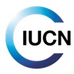 Centre for Mediterranean Cooperation logo