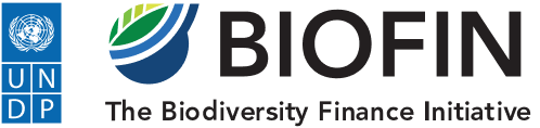 UNDP BIOFIN logo