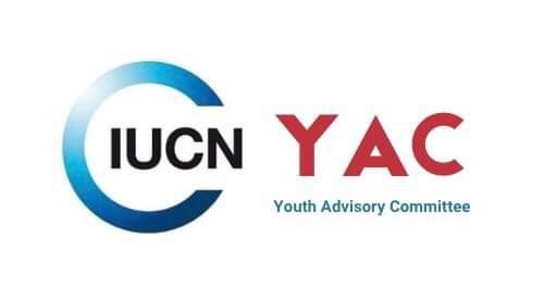 Youth Advisory Committee  logo
