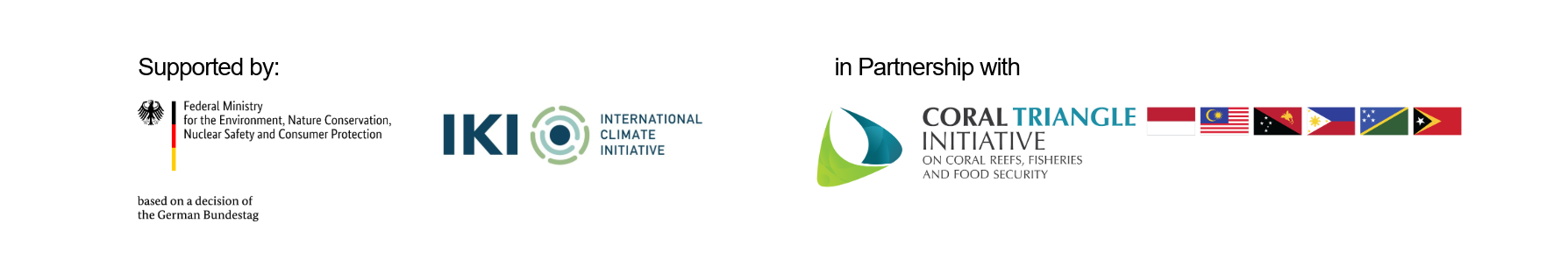 IKI logo