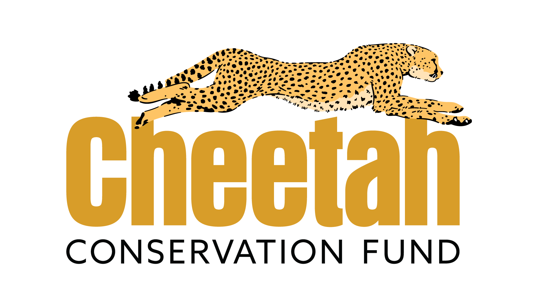 Cheetah Conservation Fund ( Namibia ) logo