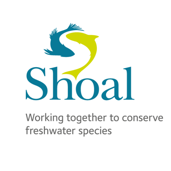 SHOAL logo