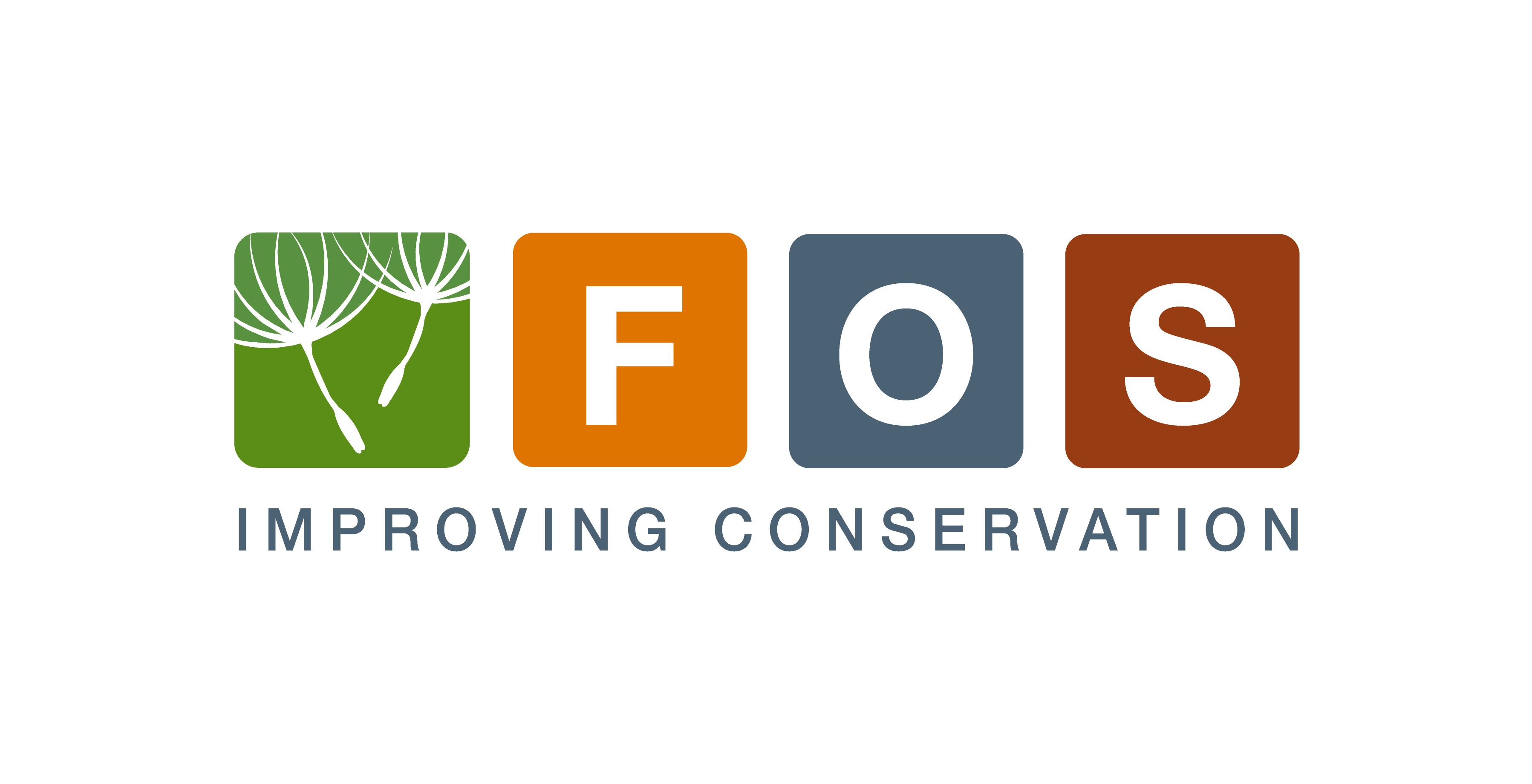 Foundations of Success logo