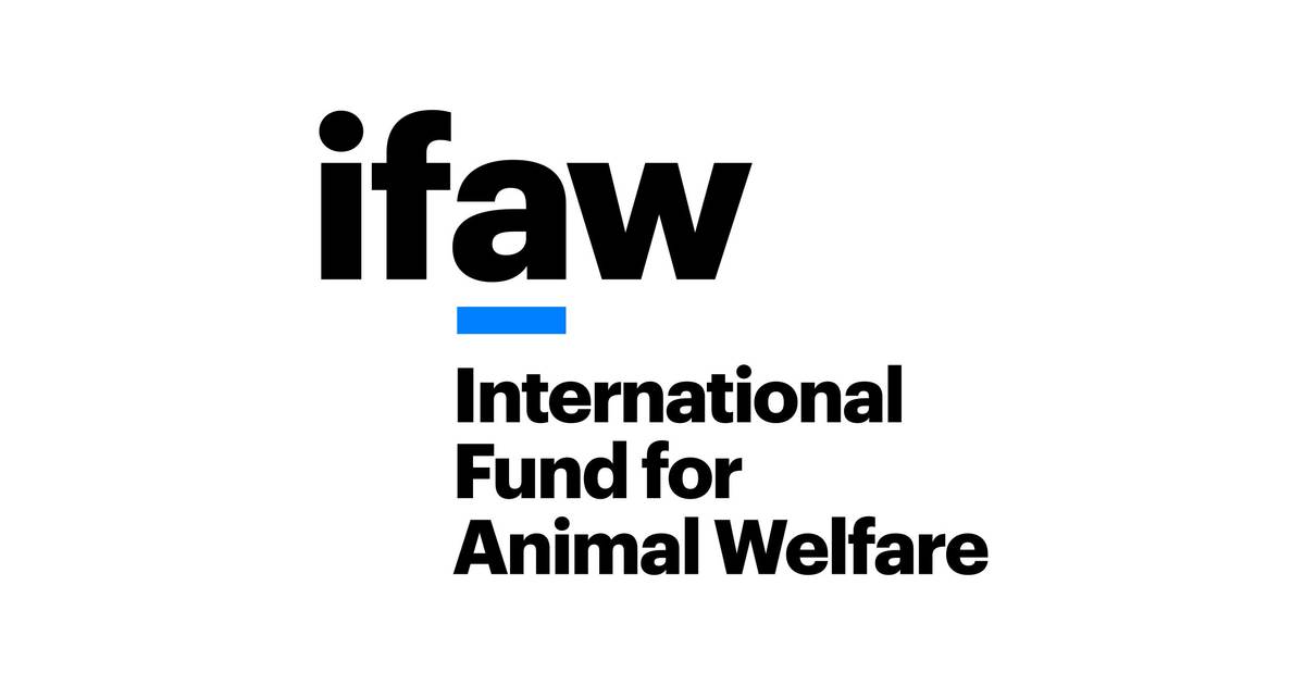 International Fund for Animal Welfare ( United States of America ) logo