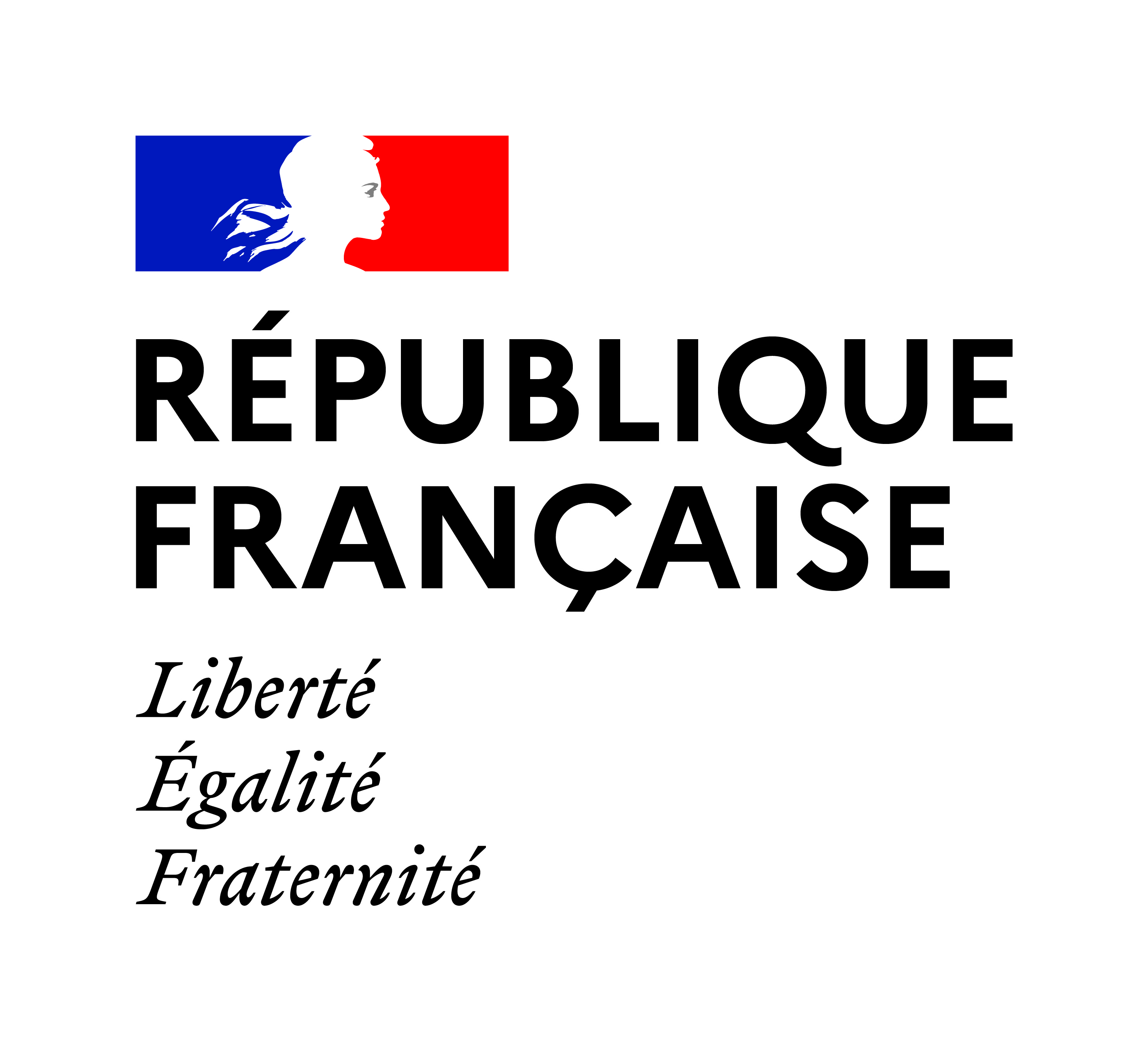 France  logo