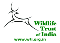 Wildlife Trust of India ( India ) logo