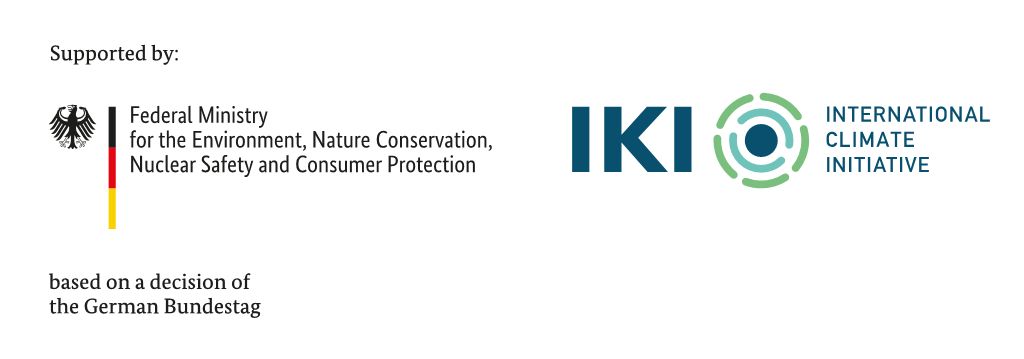 Bundesministerium für Umwelt, Klimaschutz, Naturschutz und nukleare Sicherheit ( Germany ) logo