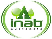 Instituto Nacional de Bosques ( Guatemala ) logo
