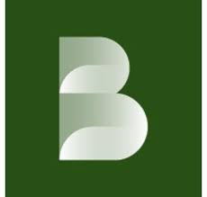 Roland Berger logo